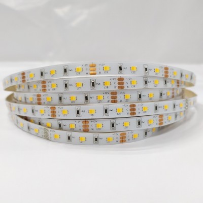 High quality SMD 2835 60 2in1 chip tunable adjustable led flexible strip 12V