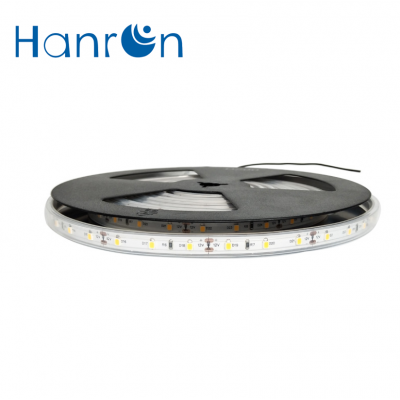 Swimming pool underwater lights IP68 SMD 2835 60led per meter strip light Underwater led strip light waterproof from China