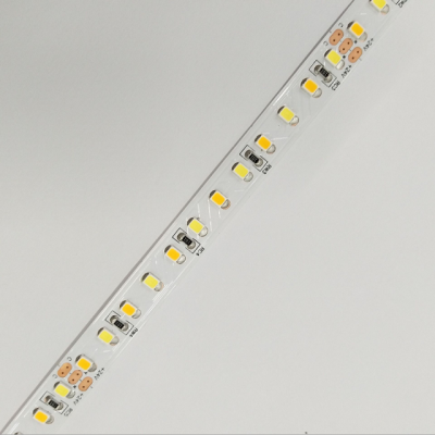 Factory sale SMD 2835 120 leds CCT Dual color 8 mm 10 mm 12V 24V color changeable led strip light