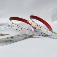 Dot Free Dual Color TW 110lm/W 280led/M LED Strip lights SMD 2110 2216 LED strips